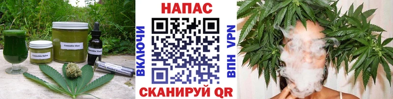 Canna-Cookies марихуана  Купить закладки  Златоуст 