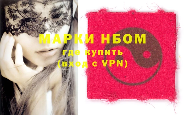 СК Елизово