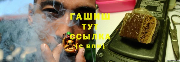 СК Елизово