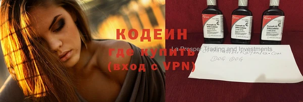 СК Елизово