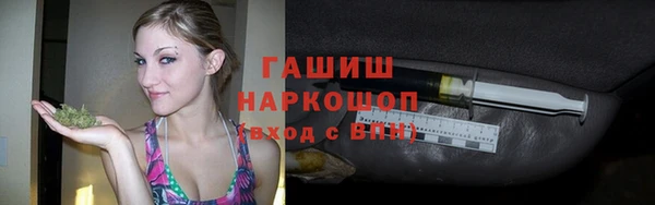 СК Елизово