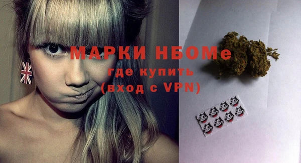 СК Елизово