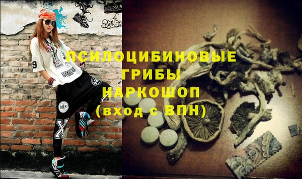 СК Елизово