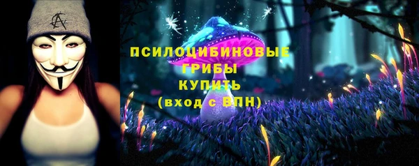 тгк Елабуга