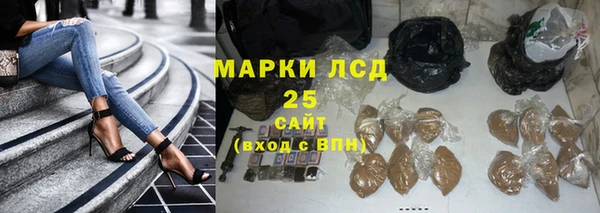 СК Елизово