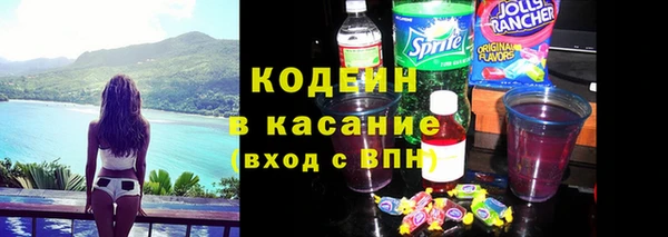 СК Елизово